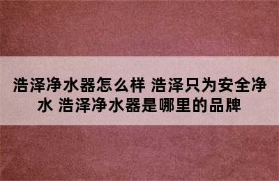 浩泽净水器怎么样 浩泽只为安全净水 浩泽净水器是哪里的品牌